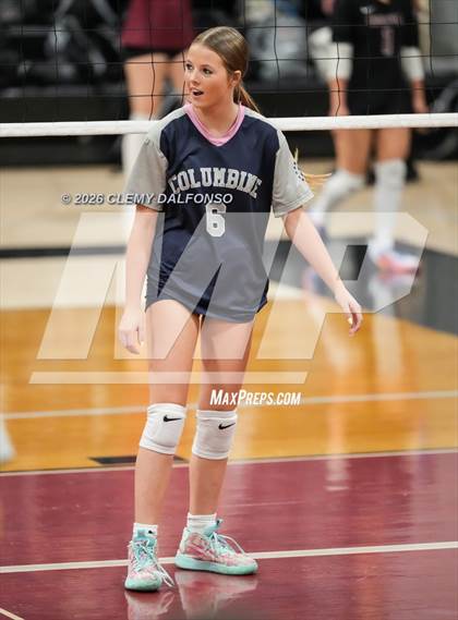 Thumbnail 3 in JV: Columbine @ Chatfield photogallery.