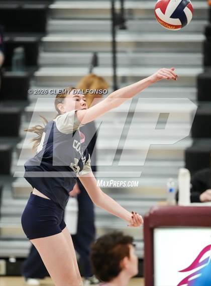 Thumbnail 1 in JV: Columbine @ Chatfield photogallery.