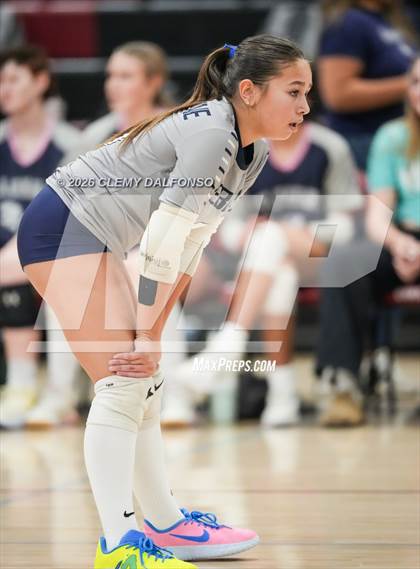 Thumbnail 2 in JV: Columbine @ Chatfield photogallery.