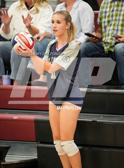 Thumbnail 3 in JV: Columbine @ Chatfield photogallery.
