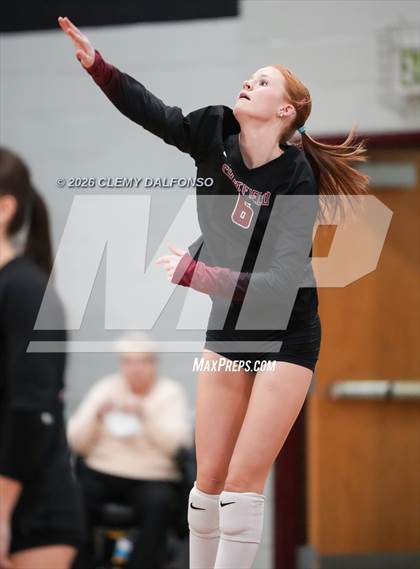 Thumbnail 3 in JV: Columbine @ Chatfield photogallery.