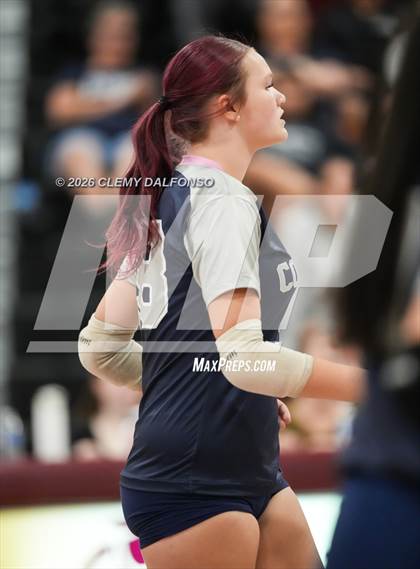 Thumbnail 1 in JV: Columbine @ Chatfield photogallery.