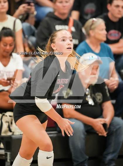 Thumbnail 2 in JV: Columbine @ Chatfield photogallery.