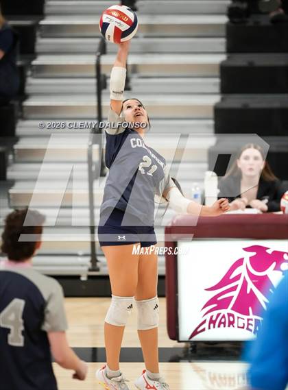 Thumbnail 3 in JV: Columbine @ Chatfield photogallery.