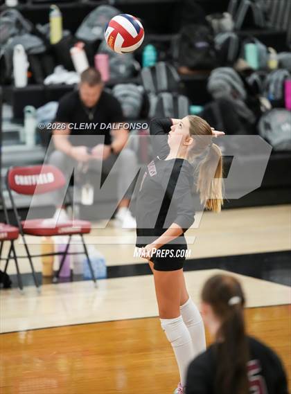 Thumbnail 1 in JV: Columbine @ Chatfield photogallery.