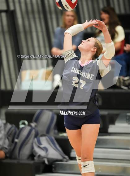 Thumbnail 1 in JV: Columbine @ Chatfield photogallery.