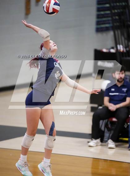 Thumbnail 1 in JV: Columbine @ Chatfield photogallery.
