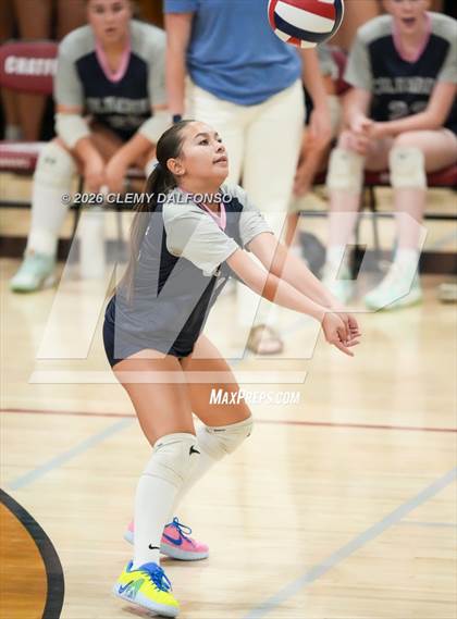 Thumbnail 3 in JV: Columbine @ Chatfield photogallery.