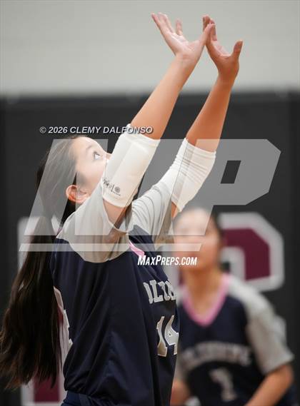 Thumbnail 1 in JV: Columbine @ Chatfield photogallery.