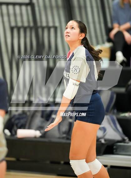 Thumbnail 1 in JV: Columbine @ Chatfield photogallery.