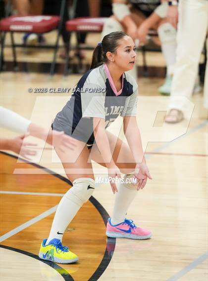 Thumbnail 3 in JV: Columbine @ Chatfield photogallery.