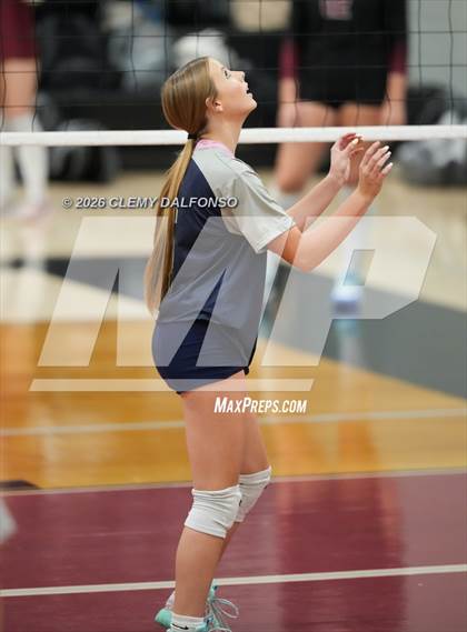 Thumbnail 1 in JV: Columbine @ Chatfield photogallery.