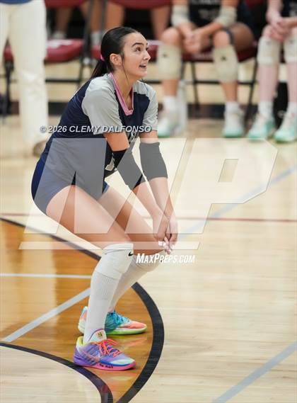 Thumbnail 2 in JV: Columbine @ Chatfield photogallery.
