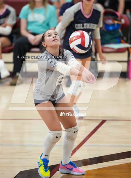 Thumbnail 3 in JV: Columbine @ Chatfield photogallery.