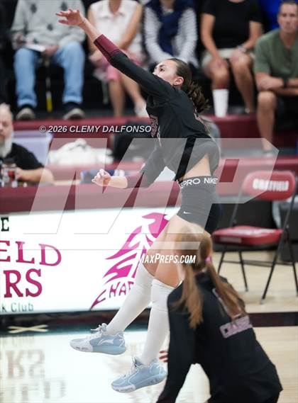 Thumbnail 1 in JV: Columbine @ Chatfield photogallery.