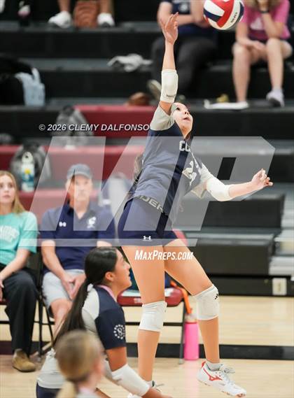 Thumbnail 2 in JV: Columbine @ Chatfield photogallery.