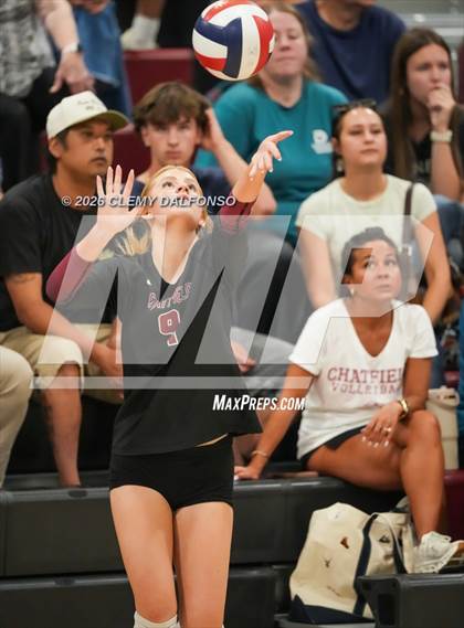 Thumbnail 3 in JV: Columbine @ Chatfield photogallery.