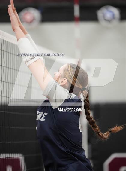 Thumbnail 3 in JV: Columbine @ Chatfield photogallery.