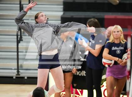 Thumbnail 1 in JV: Columbine @ Chatfield photogallery.