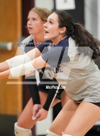 Thumbnail 1 in JV: Columbine @ Chatfield photogallery.