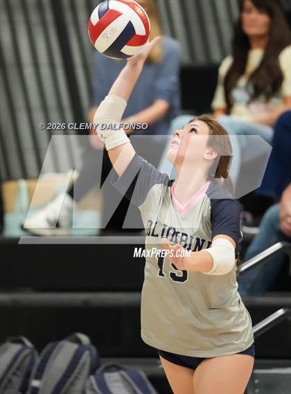 Thumbnail 3 in JV: Columbine @ Chatfield photogallery.