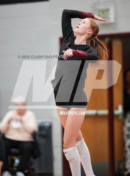 Thumbnail 2 in JV: Columbine @ Chatfield photogallery.