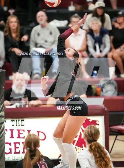 Thumbnail 2 in JV: Columbine @ Chatfield photogallery.