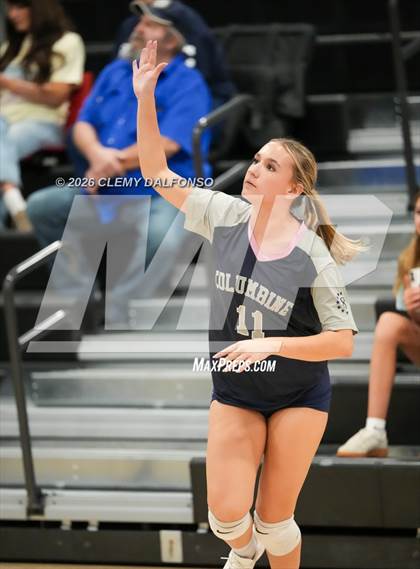 Thumbnail 1 in JV: Columbine @ Chatfield photogallery.