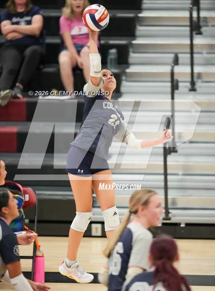 Thumbnail 3 in JV: Columbine @ Chatfield photogallery.