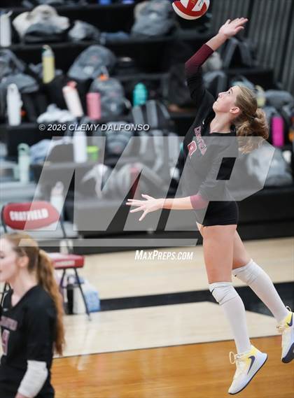 Thumbnail 2 in JV: Columbine @ Chatfield photogallery.