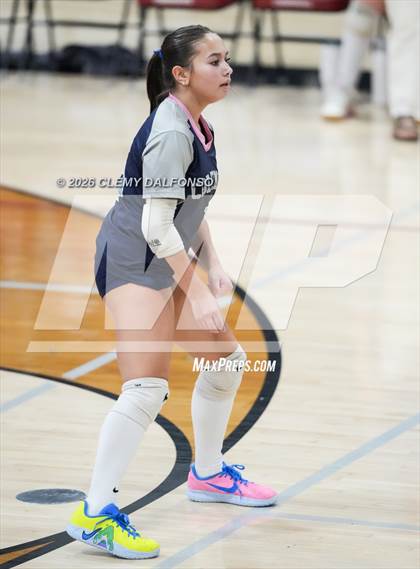 Thumbnail 2 in JV: Columbine @ Chatfield photogallery.