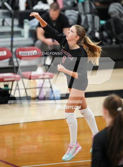 Thumbnail 2 in JV: Columbine @ Chatfield photogallery.