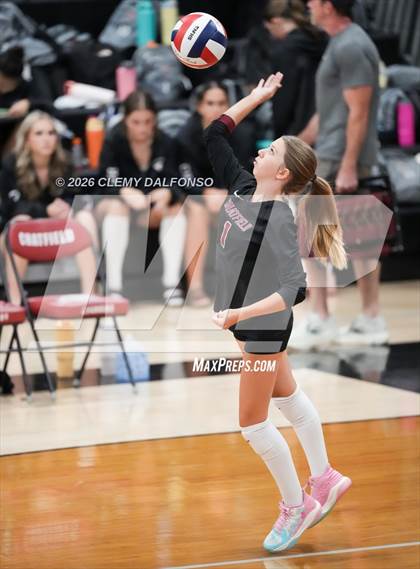 Thumbnail 2 in JV: Columbine @ Chatfield photogallery.