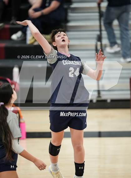 Thumbnail 3 in JV: Columbine @ Chatfield photogallery.