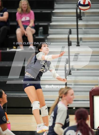 Thumbnail 2 in JV: Columbine @ Chatfield photogallery.