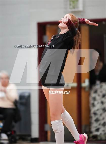 Thumbnail 3 in JV: Columbine @ Chatfield photogallery.