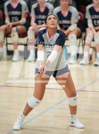 Thumbnail 3 in JV: Columbine @ Chatfield photogallery.