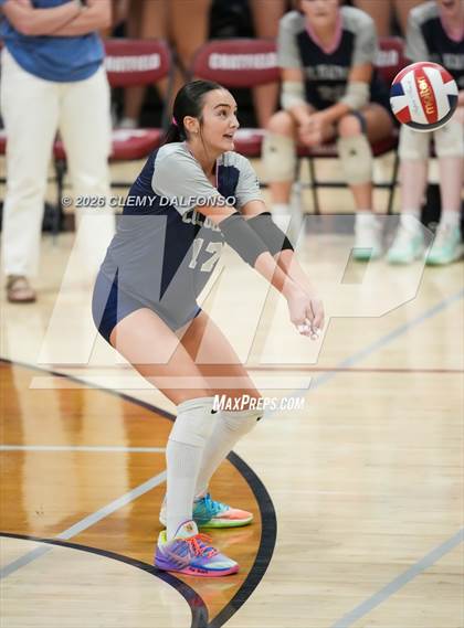 Thumbnail 1 in JV: Columbine @ Chatfield photogallery.