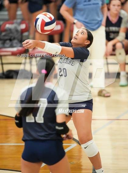 Thumbnail 1 in JV: Columbine @ Chatfield photogallery.