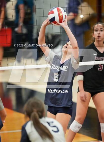 Thumbnail 2 in JV: Columbine @ Chatfield photogallery.