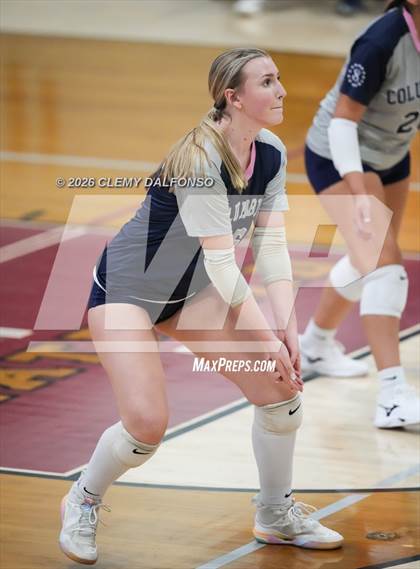 Thumbnail 1 in JV: Columbine @ Chatfield photogallery.