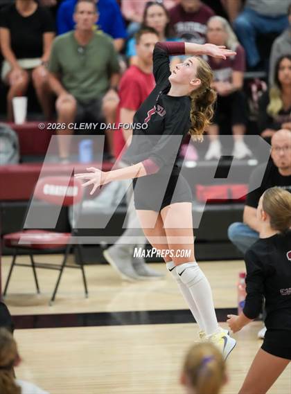 Thumbnail 1 in JV: Columbine @ Chatfield photogallery.
