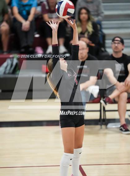 Thumbnail 3 in JV: Columbine @ Chatfield photogallery.