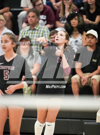 Thumbnail 3 in JV: Columbine @ Chatfield photogallery.