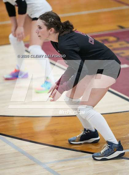Thumbnail 1 in JV: Columbine @ Chatfield photogallery.