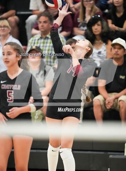 Thumbnail 1 in JV: Columbine @ Chatfield photogallery.
