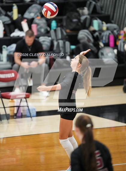 Thumbnail 2 in JV: Columbine @ Chatfield photogallery.