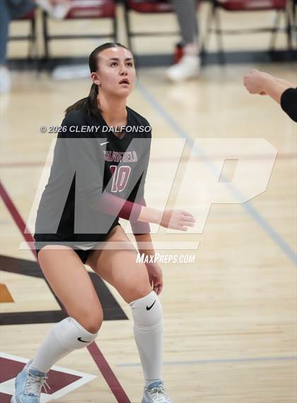 Thumbnail 2 in JV: Columbine @ Chatfield photogallery.