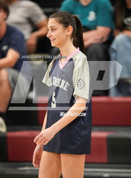Thumbnail 1 in JV: Columbine @ Chatfield photogallery.