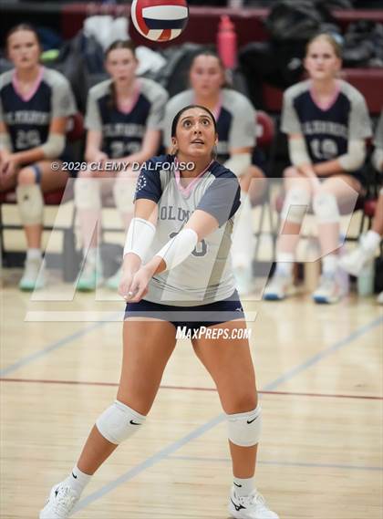 Thumbnail 2 in JV: Columbine @ Chatfield photogallery.